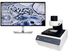 LAXCO&nbsp;Accuva LEAP upgradable phase inverted imaging system